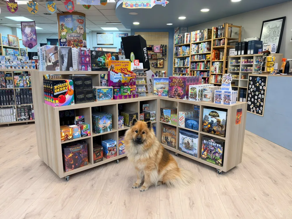 Arwen, la chienne de la boutique Lord of the Games