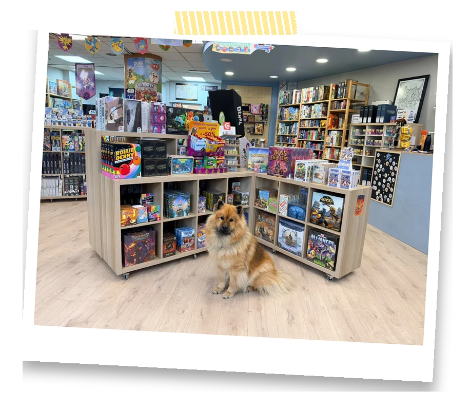 Arwen, la chienne de la boutique, assise au milieu de la nouvelle boutique Lord of the Games à Wasquehal